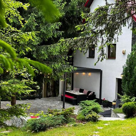 Mountain Chalet - Cabana La Muntele Baisorii Muntele Cacovei  Dış mekan fotoğraf