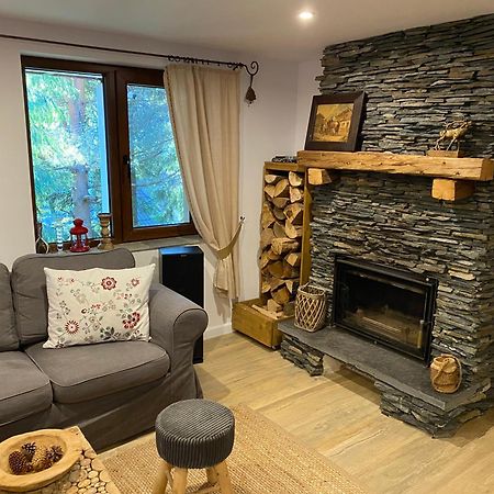 Mountain Chalet - Cabana La Muntele Baisorii Muntele Cacovei  Dış mekan fotoğraf