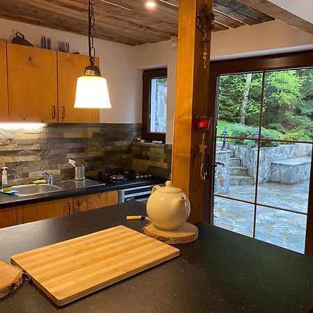 Mountain Chalet - Cabana La Muntele Baisorii Muntele Cacovei  Dış mekan fotoğraf