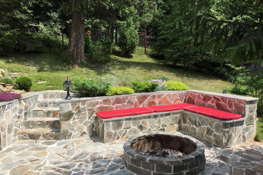 Mountain Chalet - Cabana La Muntele Baisorii Muntele Cacovei  Dış mekan fotoğraf