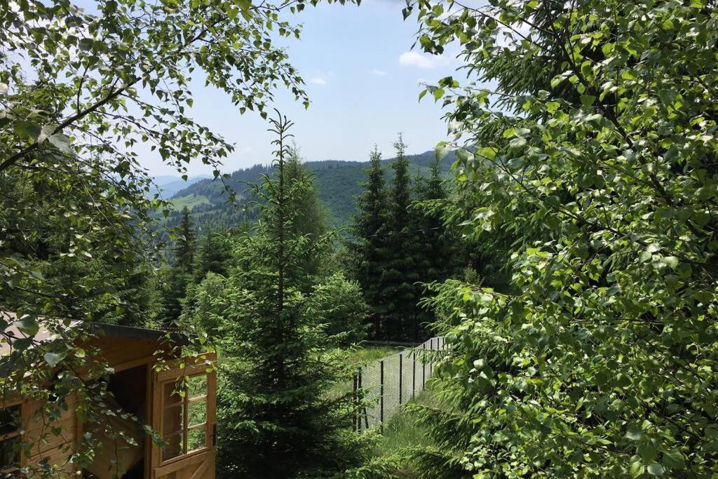 Mountain Chalet - Cabana La Muntele Baisorii Muntele Cacovei  Dış mekan fotoğraf