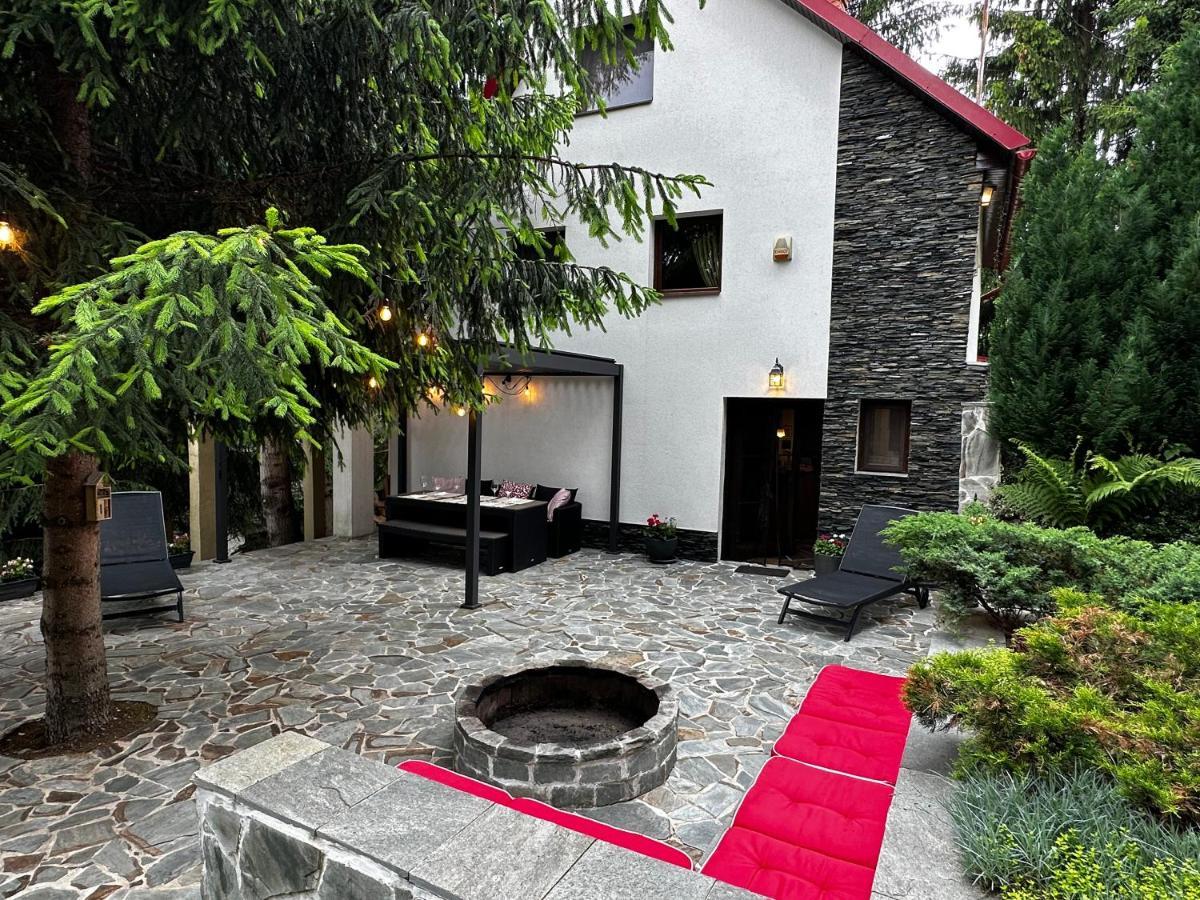 Mountain Chalet - Cabana La Muntele Baisorii Muntele Cacovei  Dış mekan fotoğraf