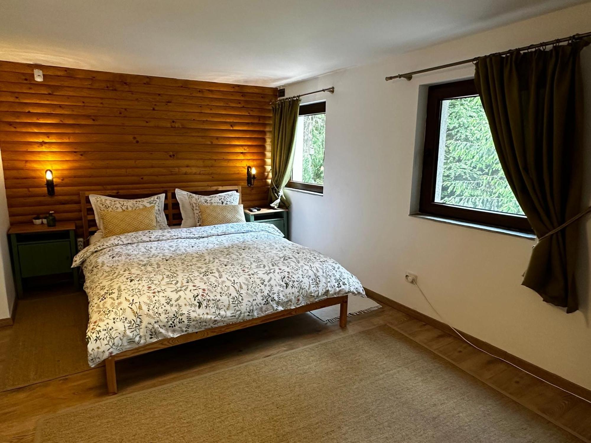 Mountain Chalet - Cabana La Muntele Baisorii Muntele Cacovei  Dış mekan fotoğraf