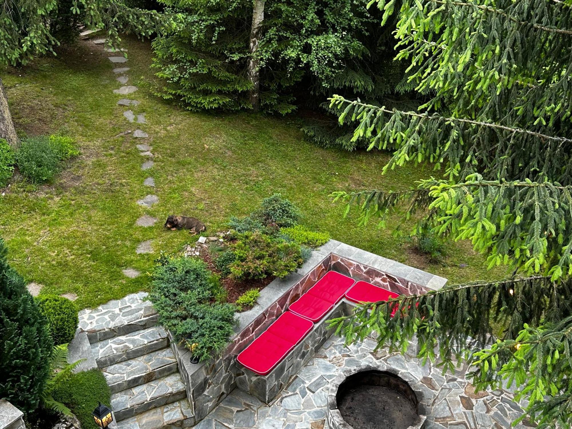 Mountain Chalet - Cabana La Muntele Baisorii Muntele Cacovei  Dış mekan fotoğraf